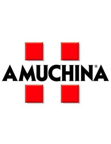 logo Amuchina