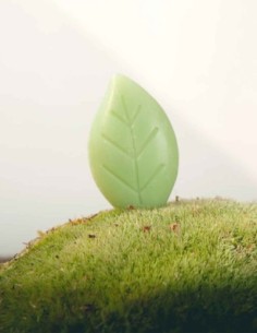 GFL Feuille de savon végétal OSME 18gr B1218SM 2