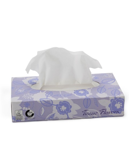 Celtex fazzoletti facial 40x100 pz art.c08900