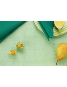 Infibra tovaglioli 33x33 2 veli verde pz.50 art 0299 2