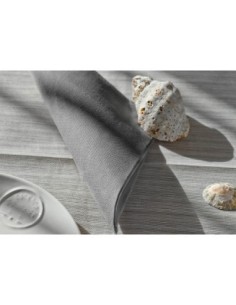 Serviettes Infibra 38x38 2 velitissu' grey pc.40 art 0531 2
