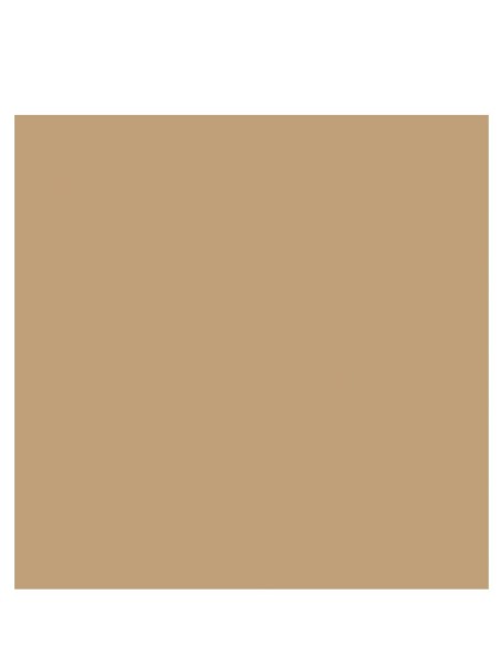 DUNI Serviette en cellulose 33 x 33 cm eco Marron 3 plis article 178653