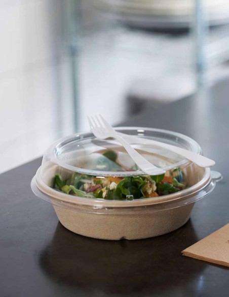 DUNI BAGASSE SCHÜSSEL 194x194x53 900 ml STK 40 ART 169212