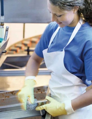 Vileda Paglietta in acciaio inox altamente resistente e a lunga durata con elevate performance di pulizia. 