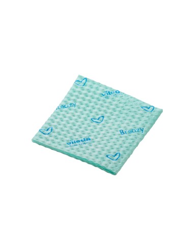 Logo Vileda