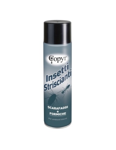 Copyr insetticida per ins. striscianti 400 ml