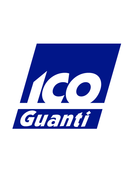 ICOGUANTI